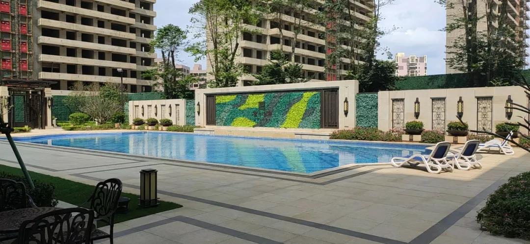 15920095765685.jpg 15920095765685.jpg